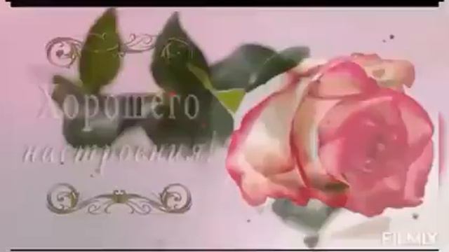 500010429-SP  С пятницей, чудесных выходных (0.31) смотреть онлайн