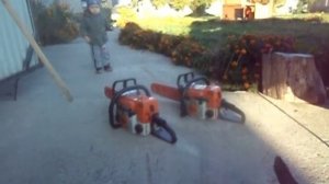 Бензопила ШТИЛЬ МС 361 легенда лесоповала/SHTIL MS 361