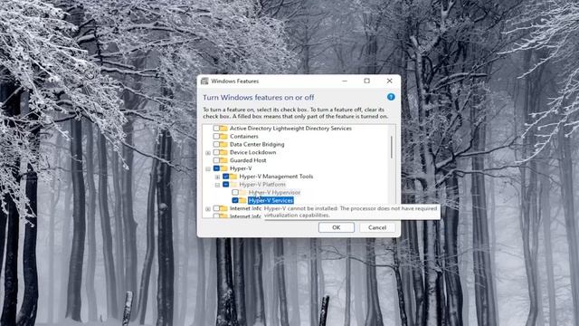 Virtual Machine Management Is Not Present on This Machine FIX [Tutorial] смотреть онлайн