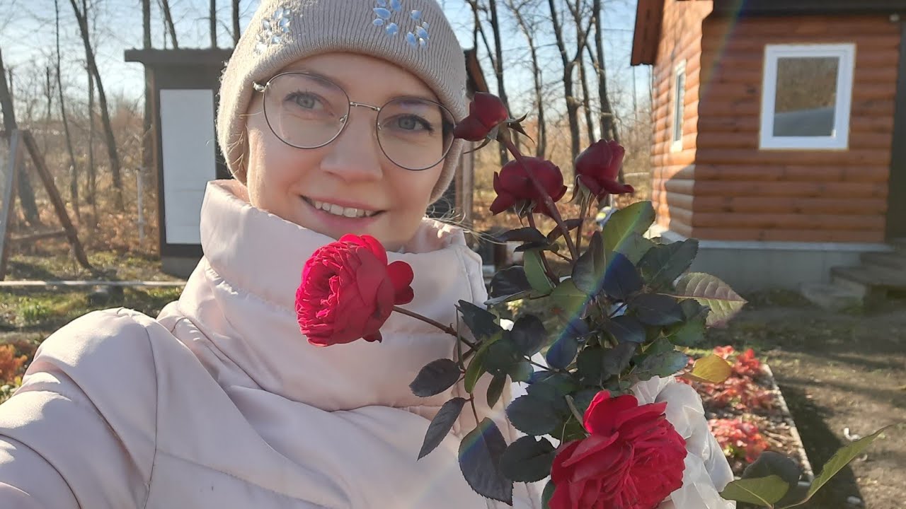 Последнее видео на дзен алены цветаевой