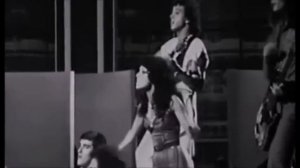 Cavallo Bianco - Matia Bazar (1976)