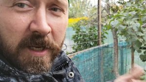 Собака защищает еду. Что делать?! Пищевая агрессия.