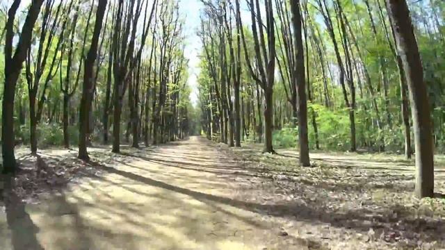 Велопрогулка #2. Кусково (Москва) - Sony HDR-AS100V