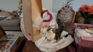 ЗАКУПИЛАСЬ НА СЛЕДУЮЩИЙ ГОД/ СЕЛЬЧАНКА В АМЕРИКЕ