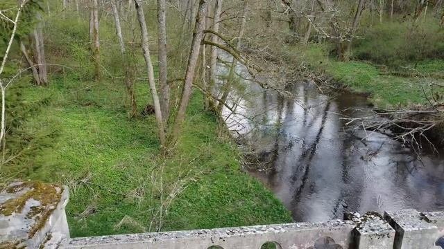 Краснолесье (Rominta)