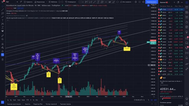БИТКОИН ПО 10000$! ВЫ СЕРЬЁЗНО В ЭТО ВЕРИТЕ??? Я НЕТ! И ВОТ ПОЧЕМУ!!!