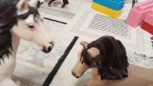 клип лошадей Шйлях 🐎 🥰 лети  лепесток через запад и восток передай что я люблю