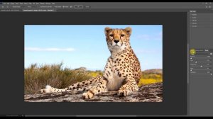 #24 Фильтры размытия BLUR в Adobe Photoshop