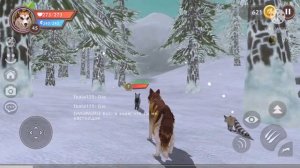 Ibeta125|wildCraft|правда или миф