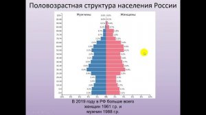 Половозрастная структура населения России. География 8 класс