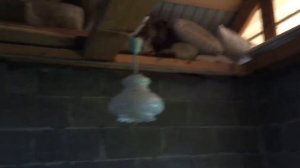 Электрика из дома в баню