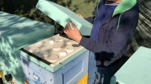 Верхняя вентиляция в ульях ППС