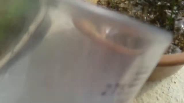 Как ухаживать за фруктами и цветами смотреть онлайн