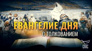 «ПРИДИТЕ КО МНЕ ВСЕ ТРУЖДАЮЩИЕСЯ И ОБРЕМЕНЕННЫЕ» / ЕВАНГЕЛИЕ ДНЯ