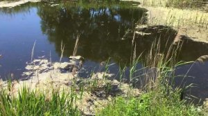 Ростов Великий, Родина Сергия Радонежского, Троице-Сергиев Варницкий монастырь.