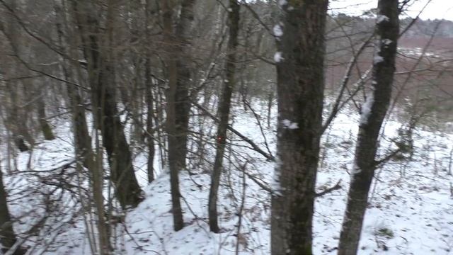 Новоспасский лес. Окоп на вершине холма смотреть онлайн