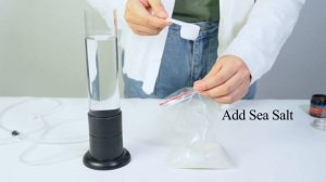 Easy Hatch Baby Brine Shrimp Set Up | Brine Shrimp Incubator - from senzeal.com