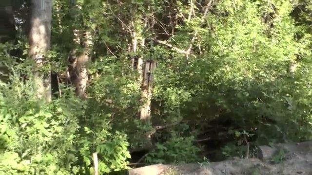 Ремонт дороги при въезде в пос. Потеряевка. 18. 08. 2016 смотреть онлайн