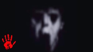 ДОМОВОЙ ИГРАЕТ С КОШКОЙ (ОЧЕНЬ ЖУТКОЕ ВИДЕО)