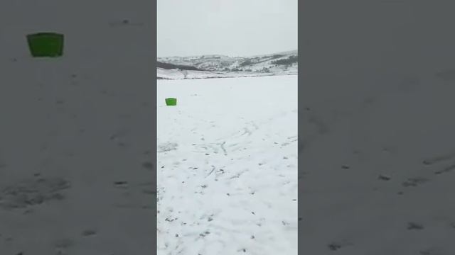 люблю зимнюю рыбалку смотреть онлайн