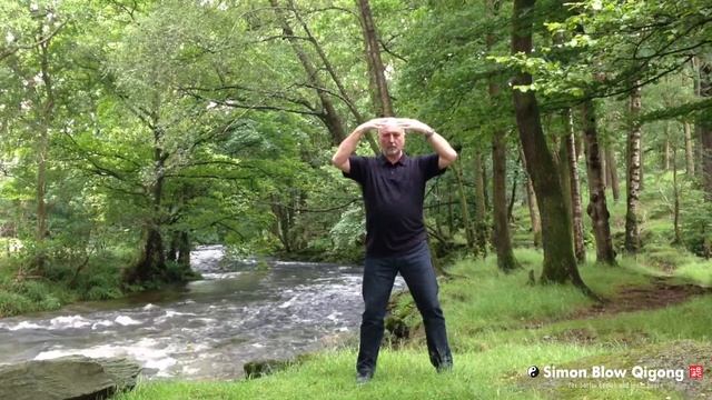 Wudang Longevity Qigong Energising Exercises смотреть онлайн