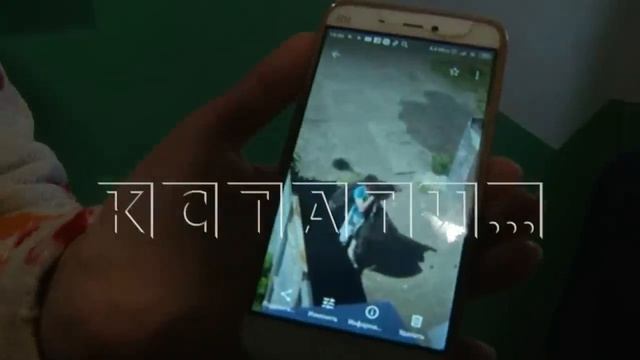 Пьющие соседи превратили многоквартирный дом в питомник тараканов смотреть онлайн