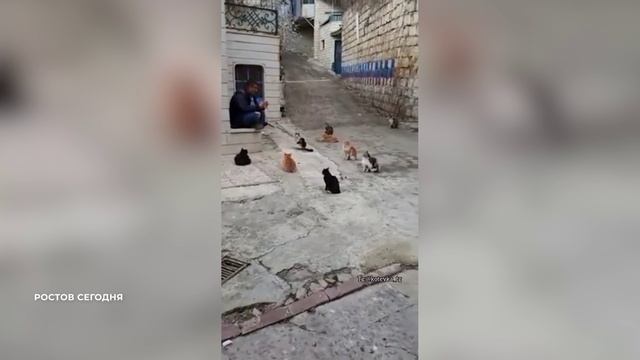 Своя правда с романом бабаяном 05.04 24