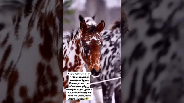 прочитайте текст пожалуйста желаю вам хорошего настроения 