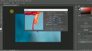 In Photoshop Change the size  - Image Size & Canvas Size