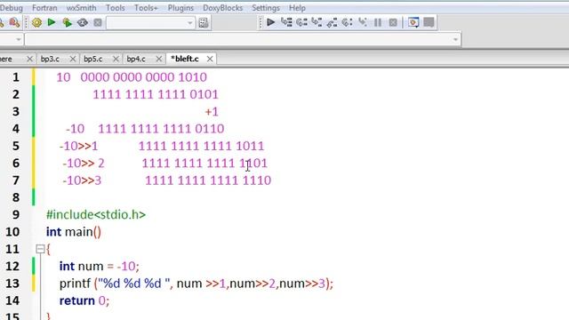 bitwise operators in c/bitwise negative number right shifting