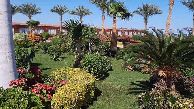 Hawaii Caesar Palace Hotel & Aqua Park 5* Египет, Хургада / @PavelLoktionov смотреть онлайн