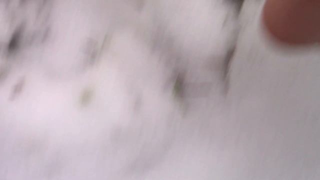 Зимняя прогулка по волшебному лесу со следами лося и зайчика - Художник в ДЕРЕВНЕ