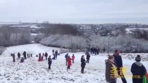 Сани-скутер на 125 колесах/сани