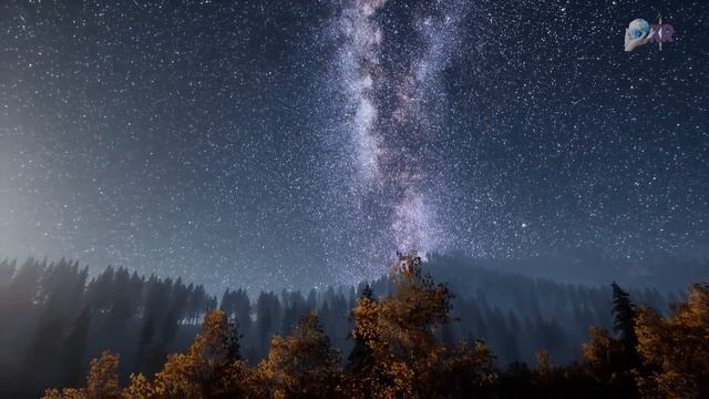 Understanding The 6 Laws of the Universe – Start Making These Universal Laws Work For You смотреть онлайн