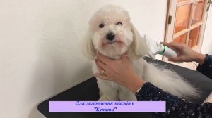 щетка для собак 2