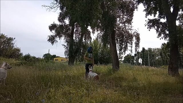 Зевс и Триса. Разминка смотреть онлайн