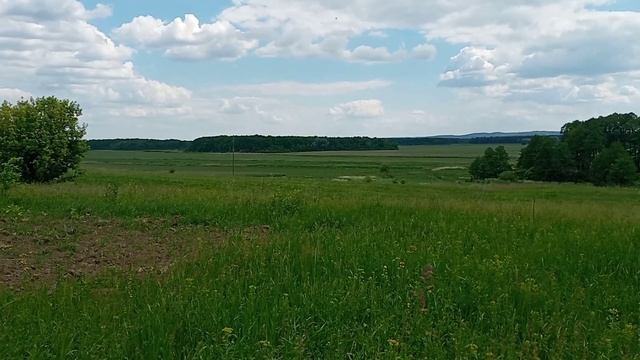 Как спасти друга от бaбopaбcтвa смотреть онлайн