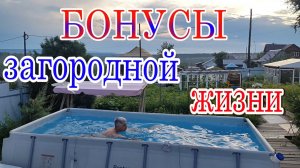 Бонусы садового участка. Радость на огороде. Позитив от дачи.