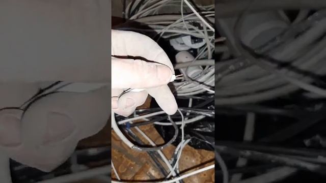 вес ролучился 6 кг. купил за 500 рублей, после объжига получится 3-3.5кг чистой меди. смотреть онлайн