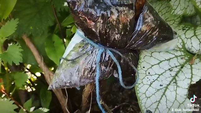 magnolia air cuttings incomplete 2023 смотреть онлайн