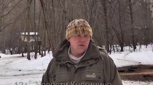 Подкормка дикого кабана