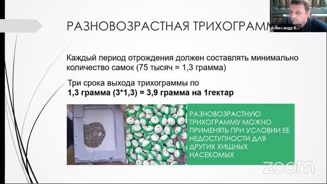 Трихограмма от вредителей | Защита томата от Tuta absoluta |   Энтомофаг для дачи и теплицы