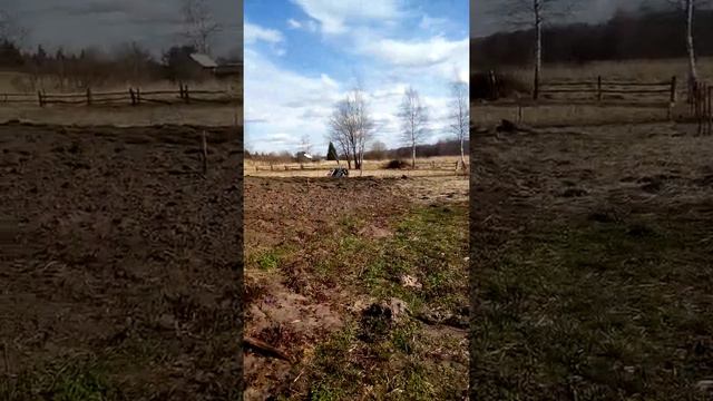 Примулы и черешни смотреть онлайн