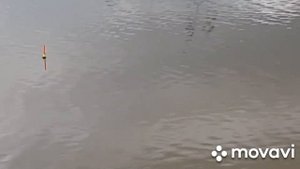 Ловля ротана на поплавок
