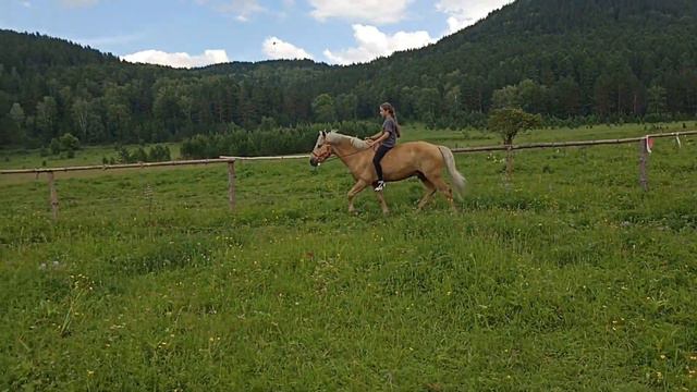 зарядка верхом(1) смотреть онлайн