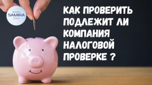 Как проверить подлежит ли компания налоговой проверке ?