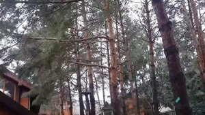 Оздоровительный комплекс с.Барвинок. Закарпатская область. Термальный бассейн.