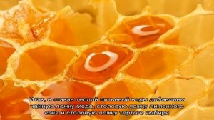Можно ли есть мёд при похудении? Рецепты с мёдом для похудения