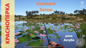 Русская рыбалка 4 - река Ахтуба - Красноперка в кувшинках