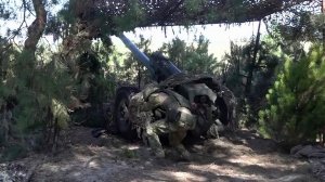 Российские военные отбили атаку националистов на острове возле Херсона